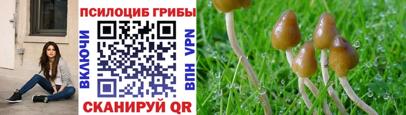 закладка Исилькуль Галлюциногенные грибы GOLDEN TEACHER